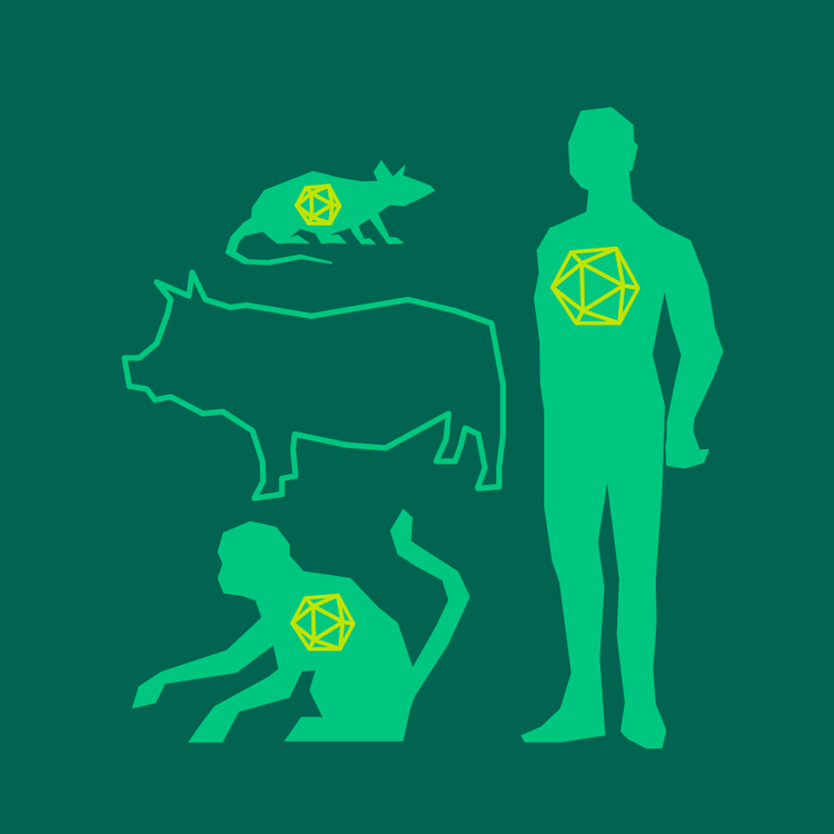 Viral host range restriction