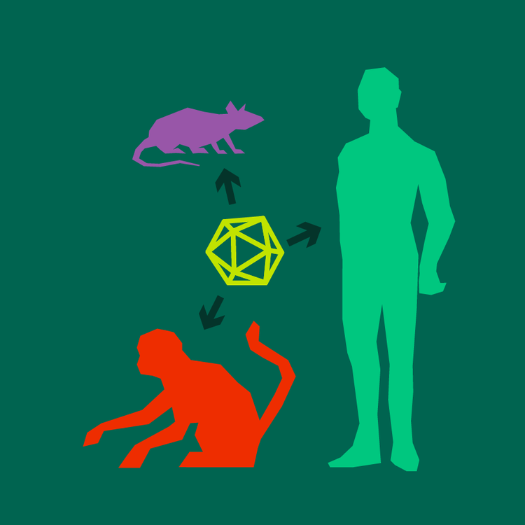 Viral pathogenesis