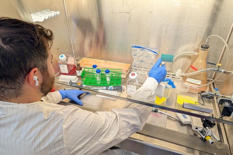 Working in the lab