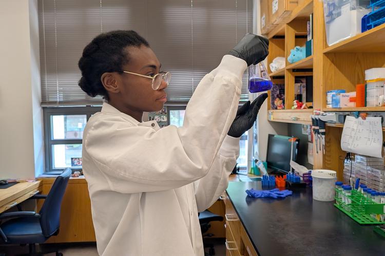 Working in the lab