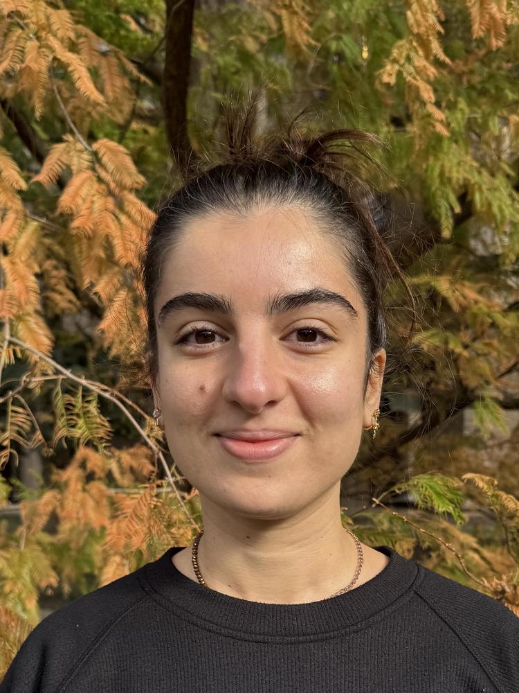 Headshot of Yeliz Sezgin