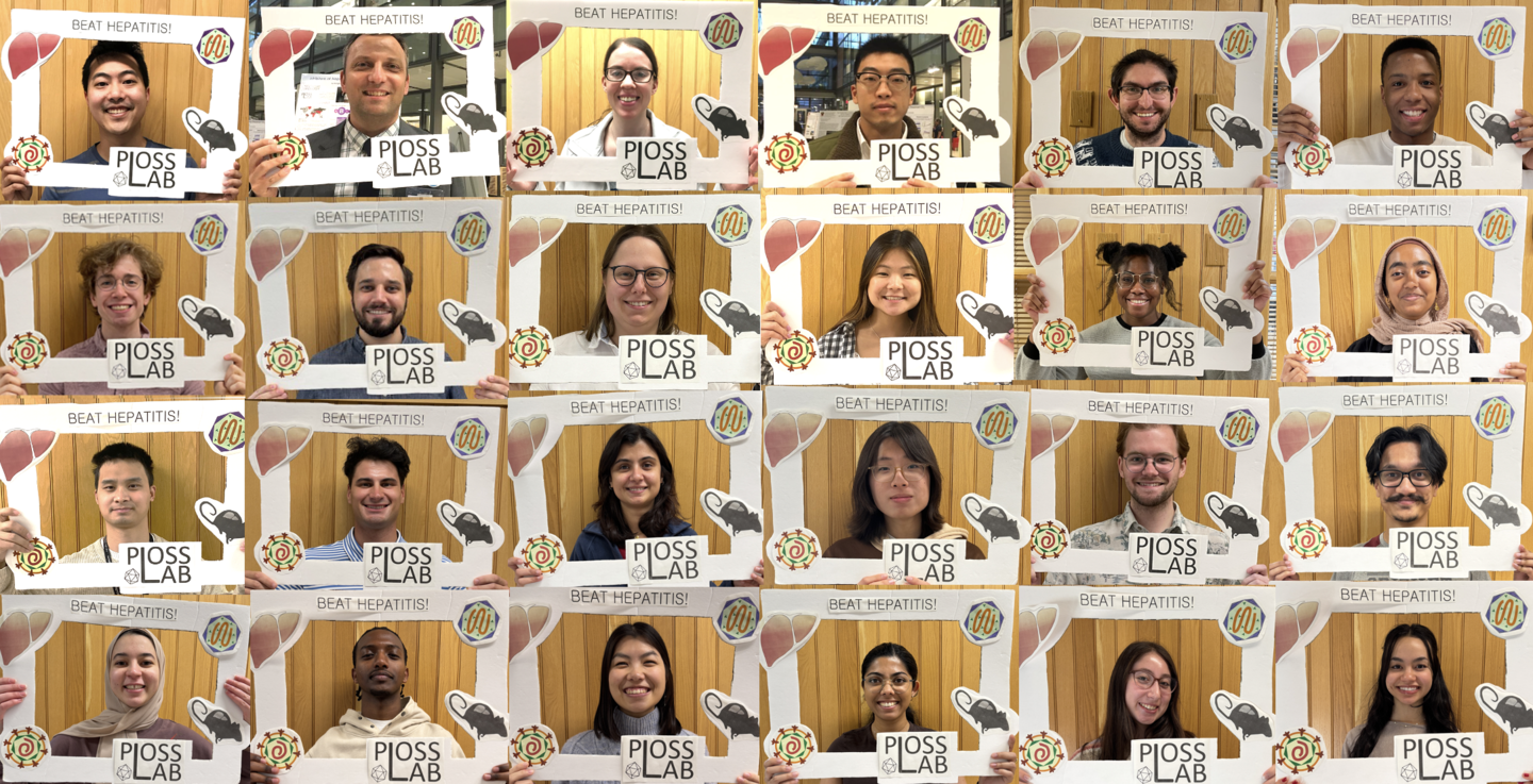 Lab photo collage