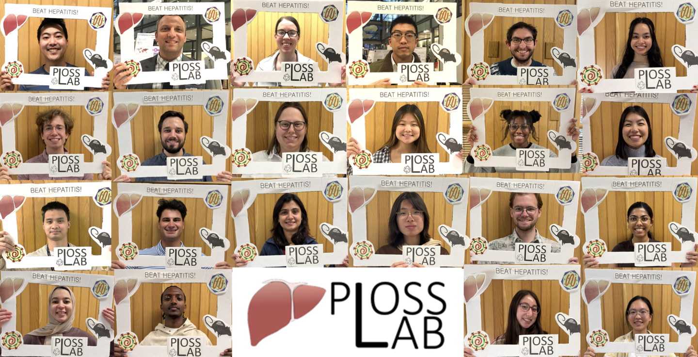 Lab photo collage