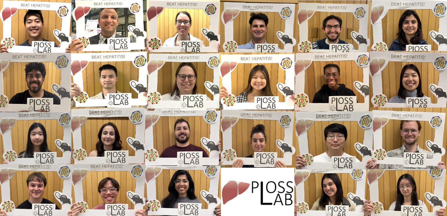 20260625 Lab photo collage