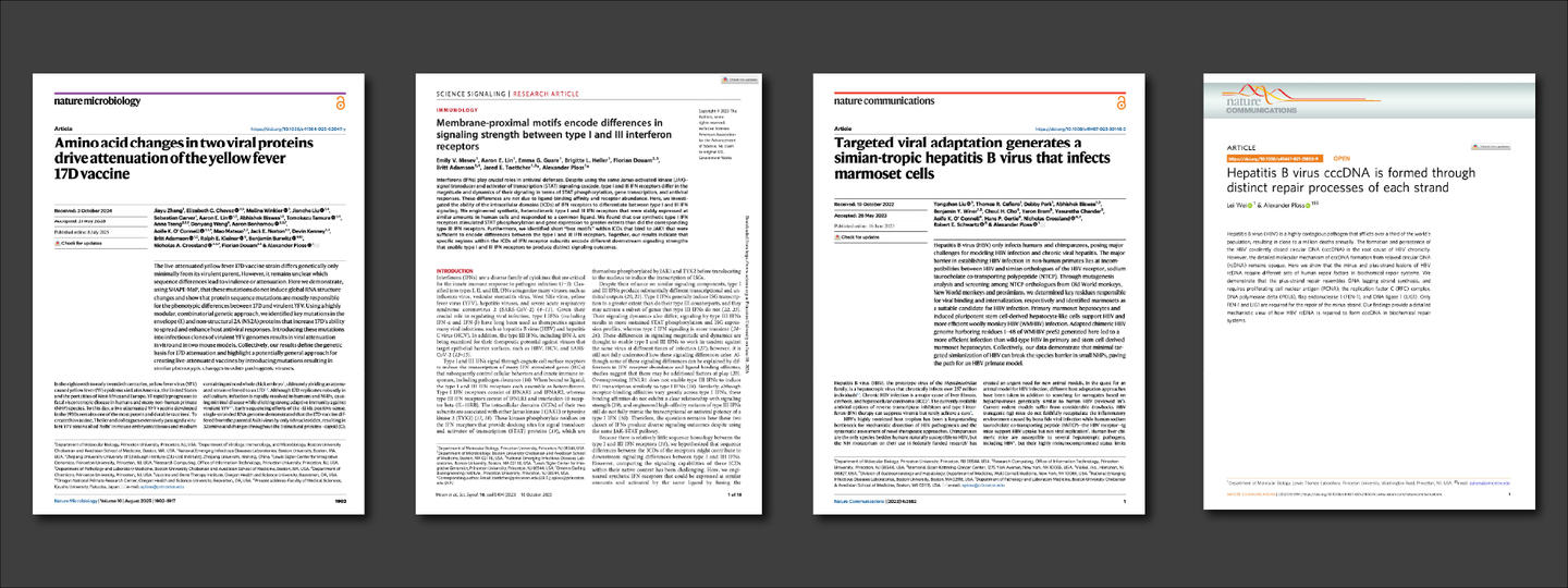 Four highlighted papers