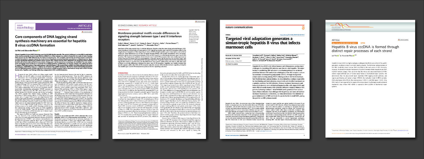highlighted papers