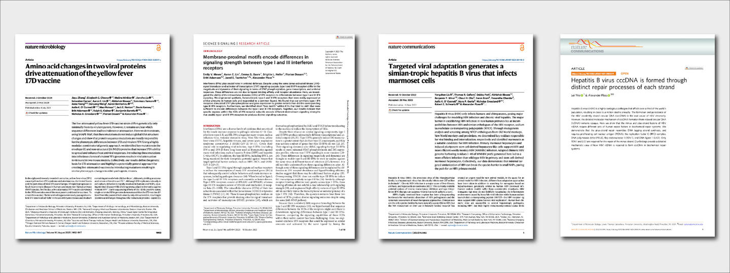 First four highlighted papers