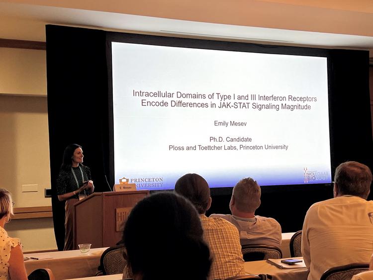 Emily presents at cytokines meeting