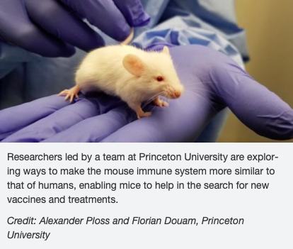 Selective expansion of myeloid and NK cells in humanized mice yields human-like vaccine responses