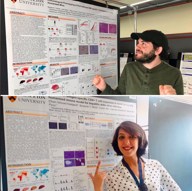 HBV meeting 2018