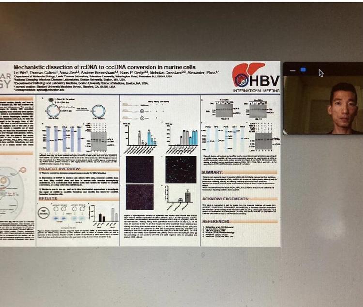 Wei-HBV